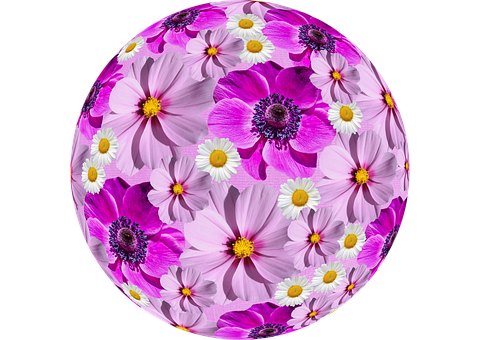 Floral_ Sphere_ Artwork PNG Image