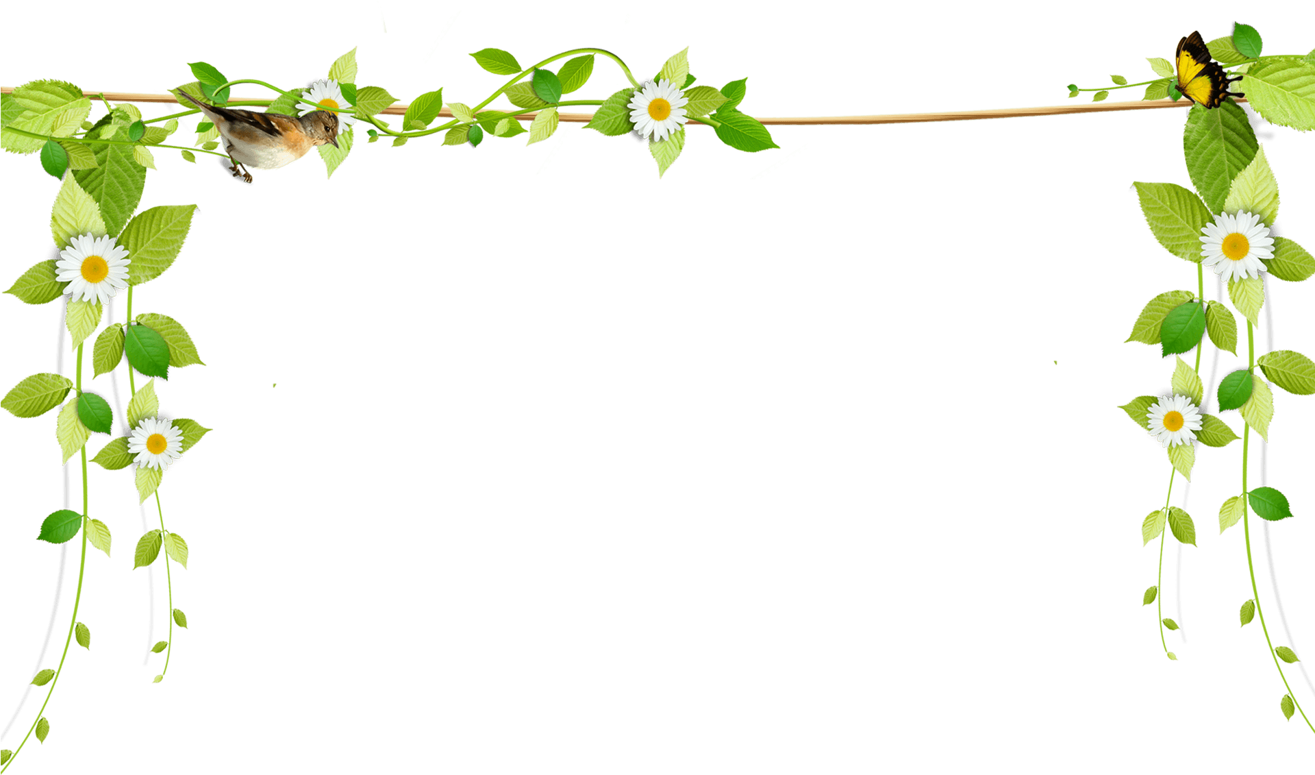 Floral Vine Border Design.png PNG Image