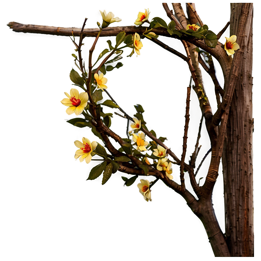 Flores Spring Awakening Png Njb16 PNG Image