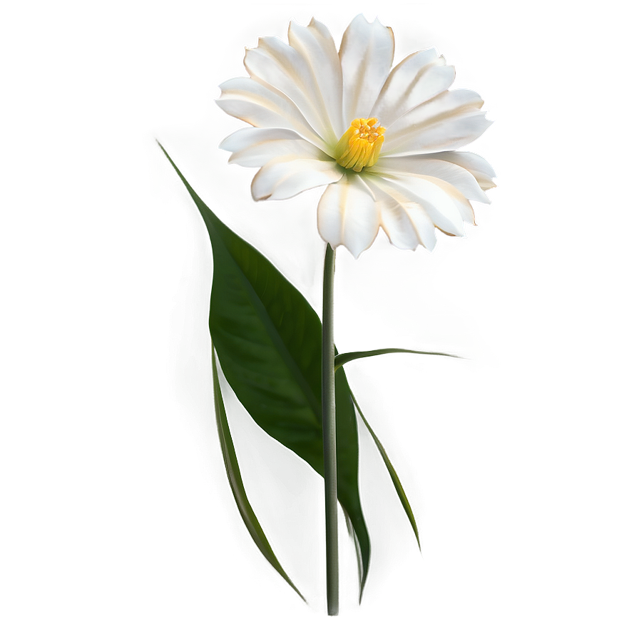 Flores Whisper Elegance Png Iiq5 PNG Image