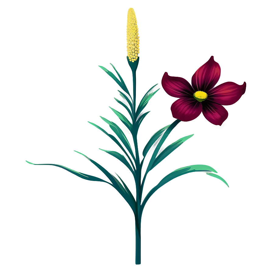 Florida State Flower Png Akr PNG Image