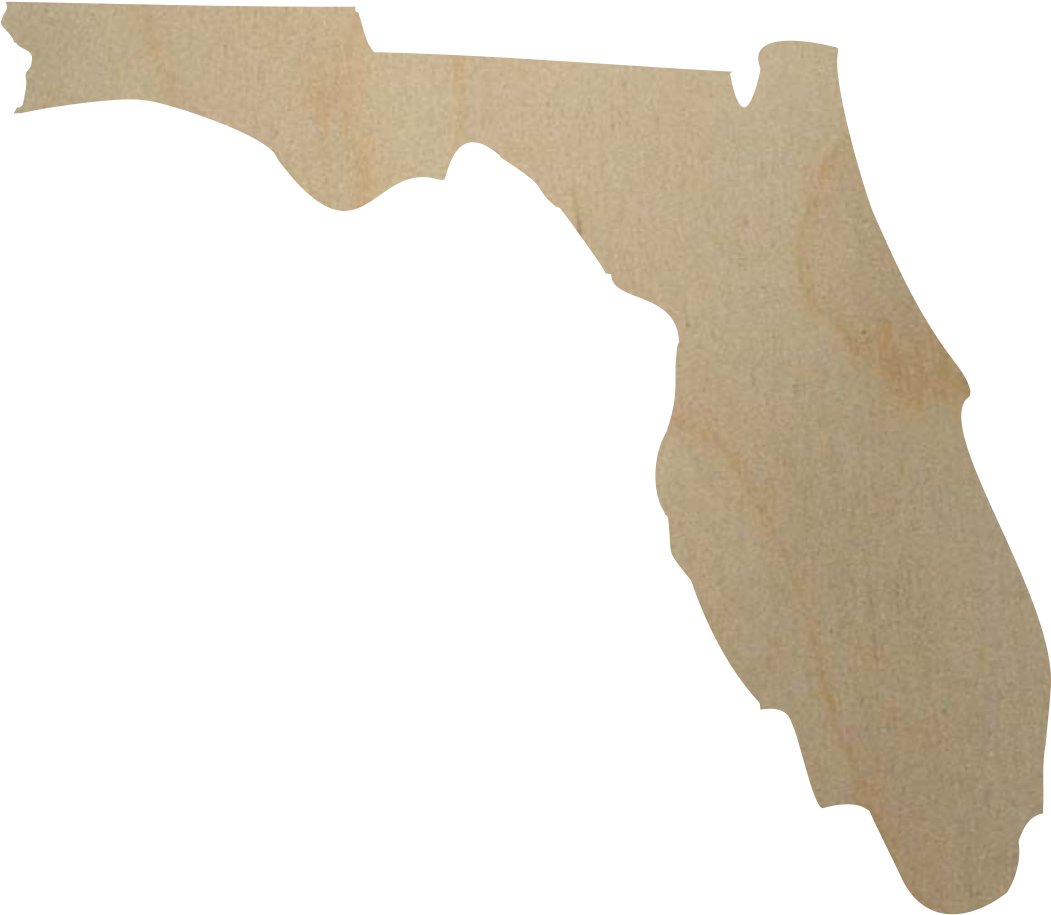 Florida State Outline PNG Image