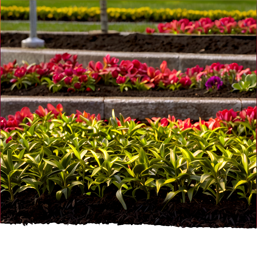 Flower Bed Mulching Png 1 PNG Image