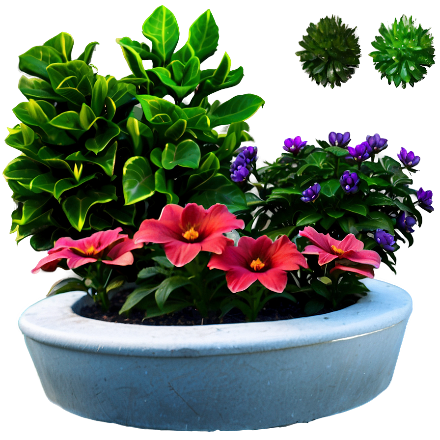 Flower Bed Plants Png 05042024 PNG Image