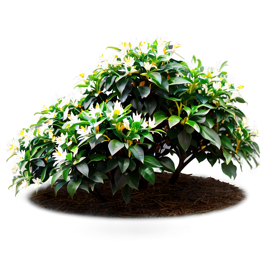 Flower Bush B PNG Image