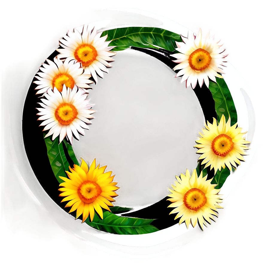 Flower Circle D PNG Image