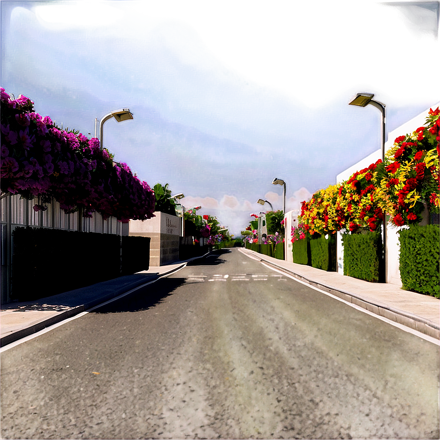 Flower Lined Street Png 06112024 PNG Image