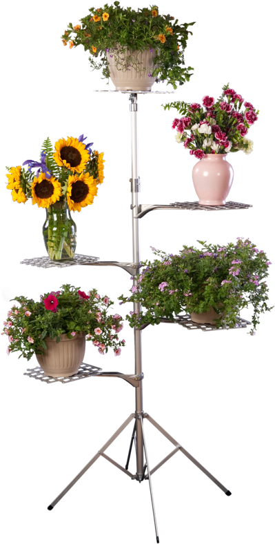 Flower Stand Display Multi Level PNG Image