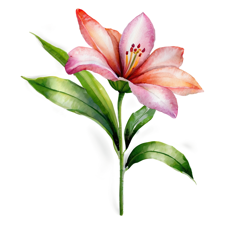 Flower Watercolor D PNG Image