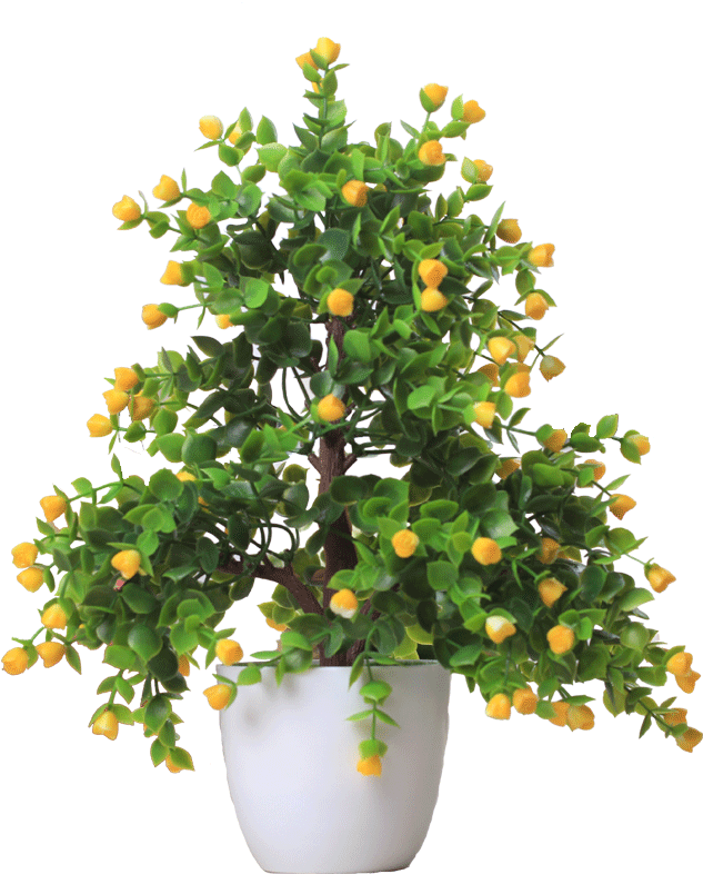 Flowering Plantin White Pot.png PNG Image