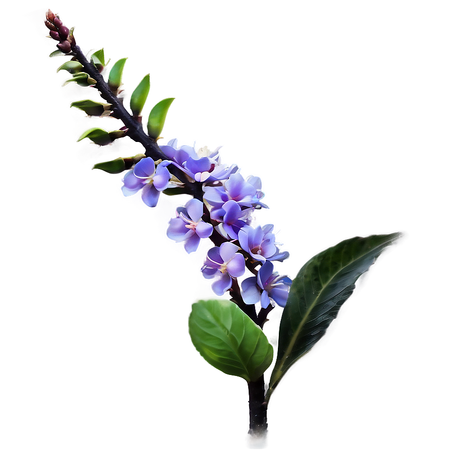 Flowering Plants Png Sfn PNG Image