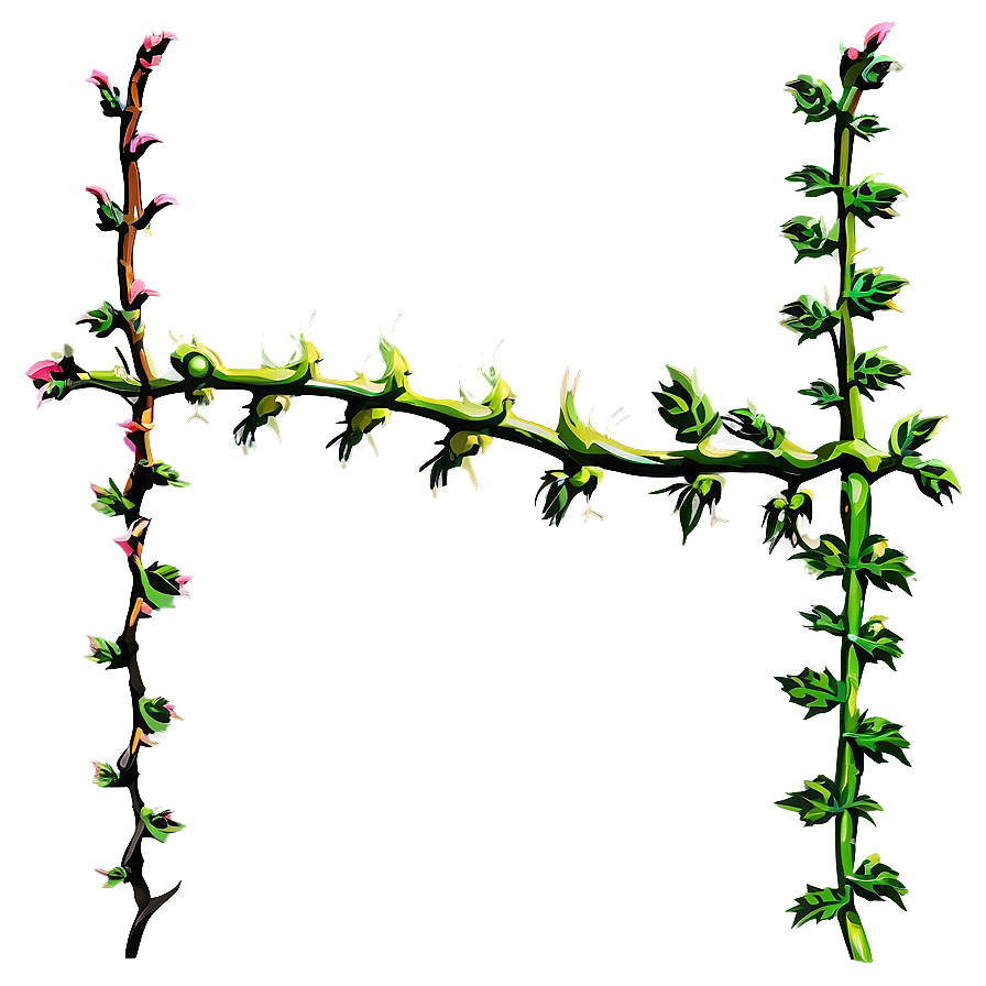 Flowering Vine Cross Section PNG Image