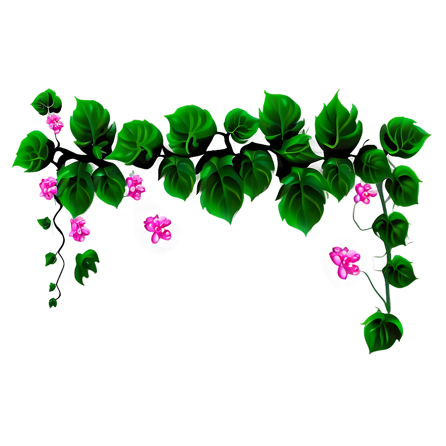 Flowering Vine Illustration PNG Image