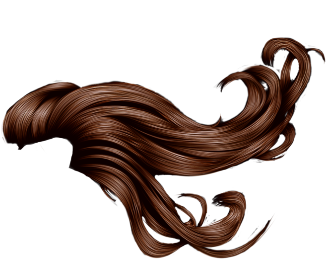 Flowing Brown Hair Illustration PNG Image