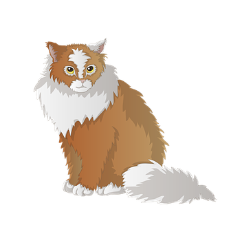 Fluffy Brown White Cat Illustration PNG Image