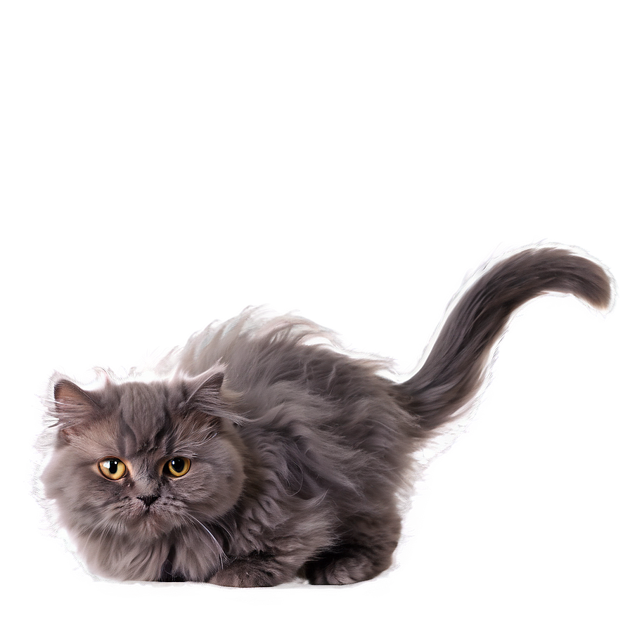 Fluffy Cat Png 05252024 PNG Image