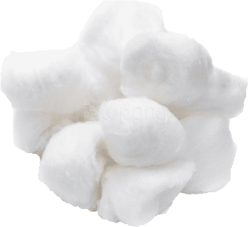 Fluffy Cotton Boll PNG Image