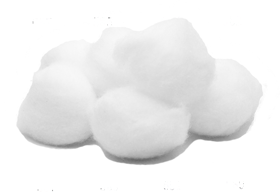 Fluffy Cotton Isolated PNG Image