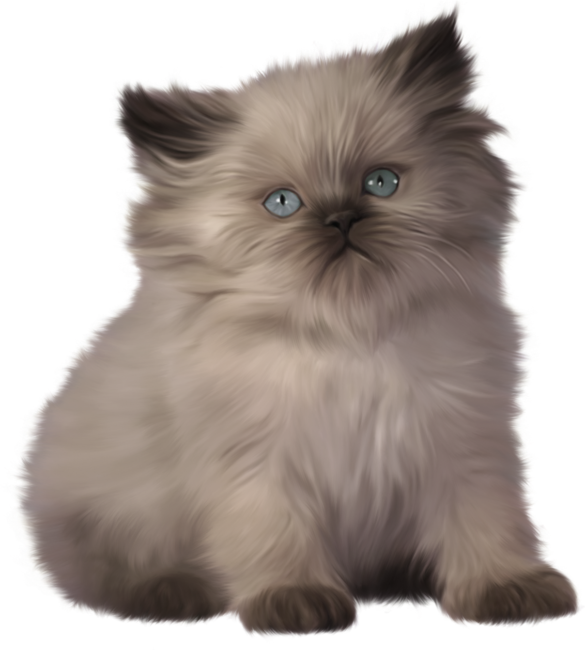 Fluffy Gray Kitten Illustration PNG Image