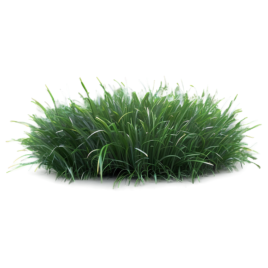 Fluffy Green Grass Png Ofu29 PNG Image