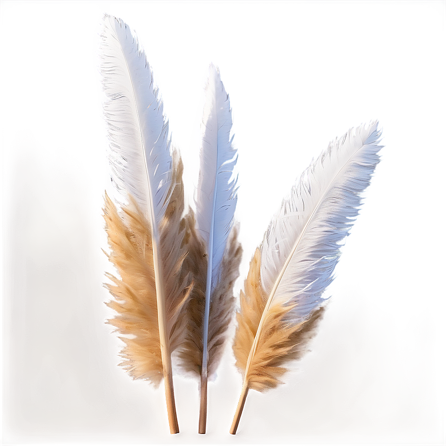 Fluffy Pampas Plumes Png 76 PNG Image