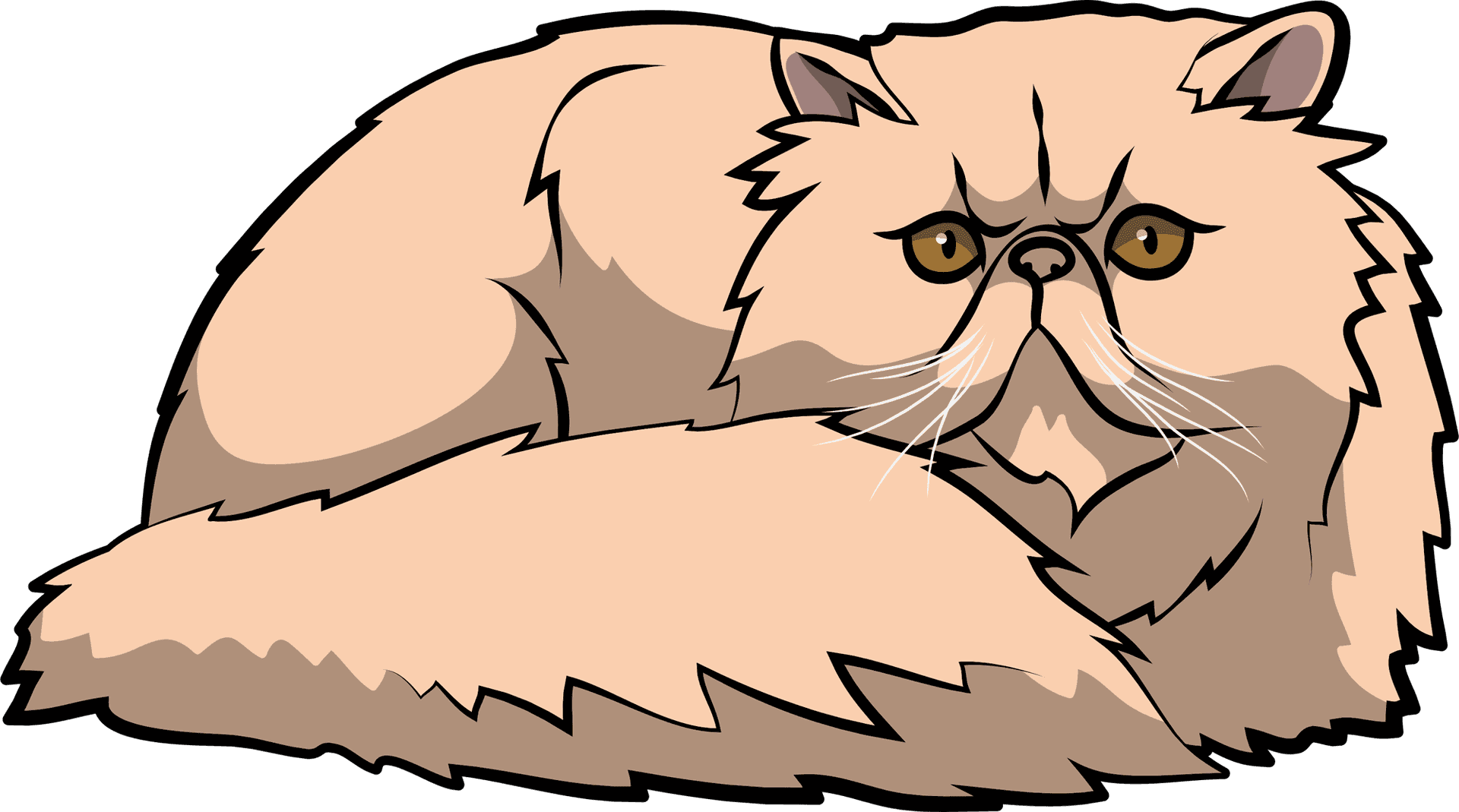 Fluffy Persian Cat Illustration PNG Image