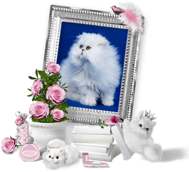 Fluffy White Cat Framedwith Pink Rosesand Accessories PNG Image