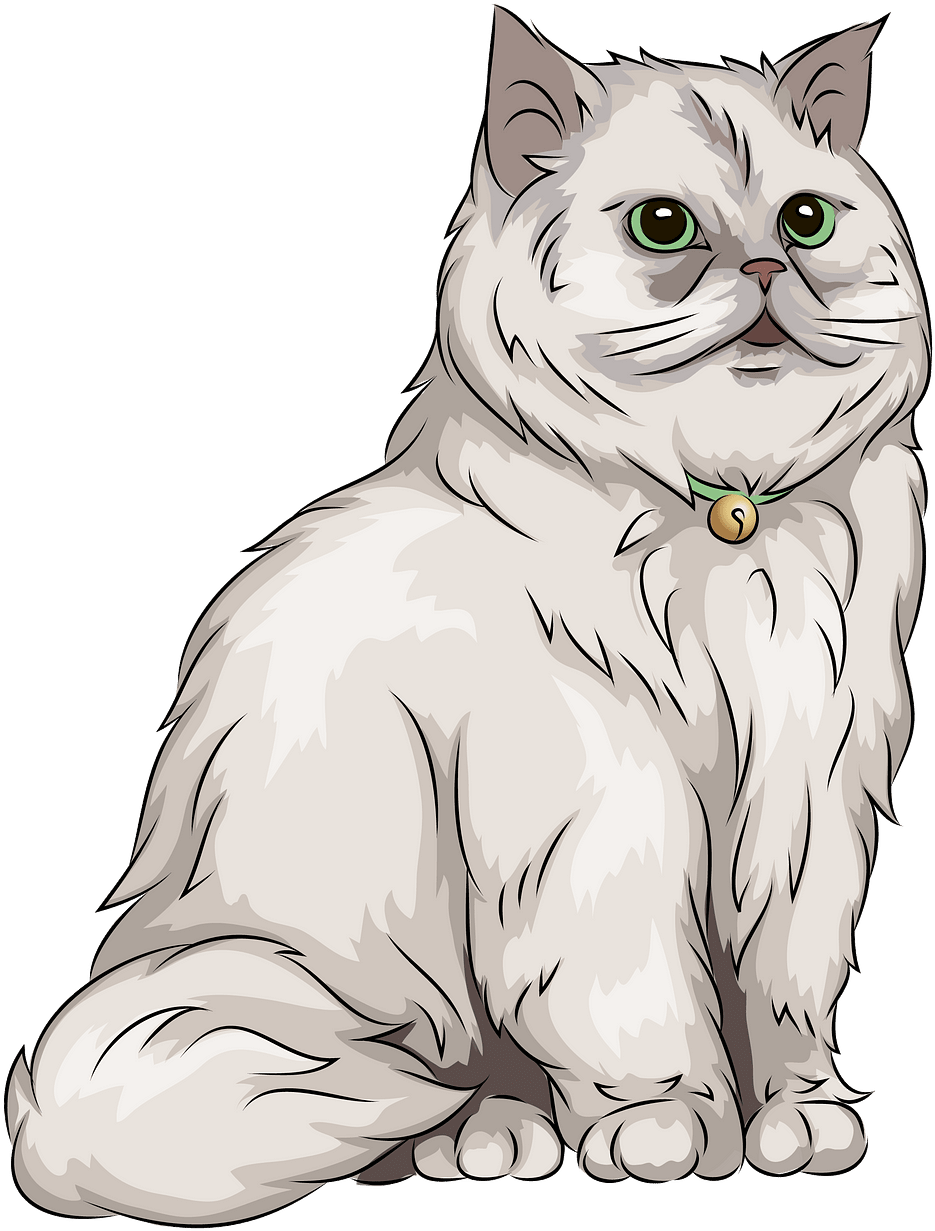 Fluffy White Cat Illustration PNG Image