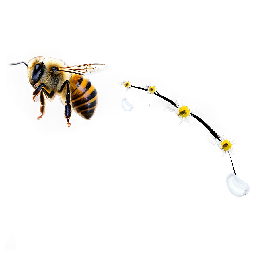 Flying Bee Png Saw52 PNG Image