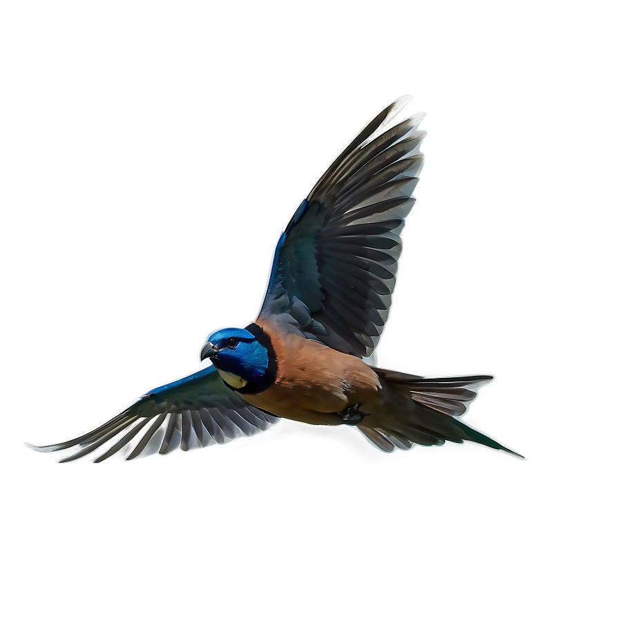 Flying Bird Transparent Png 70 PNG Image