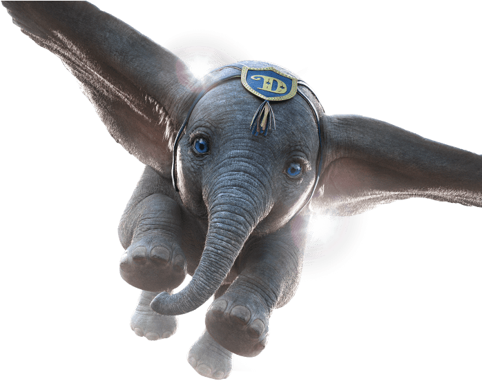 Flying Dumbo Elephant Animation PNG Image