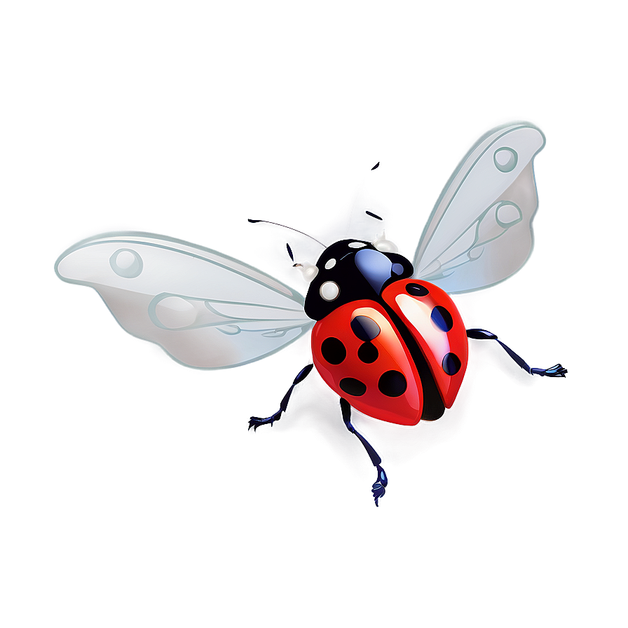 Flying Ladybug Graphic Png Imm PNG Image