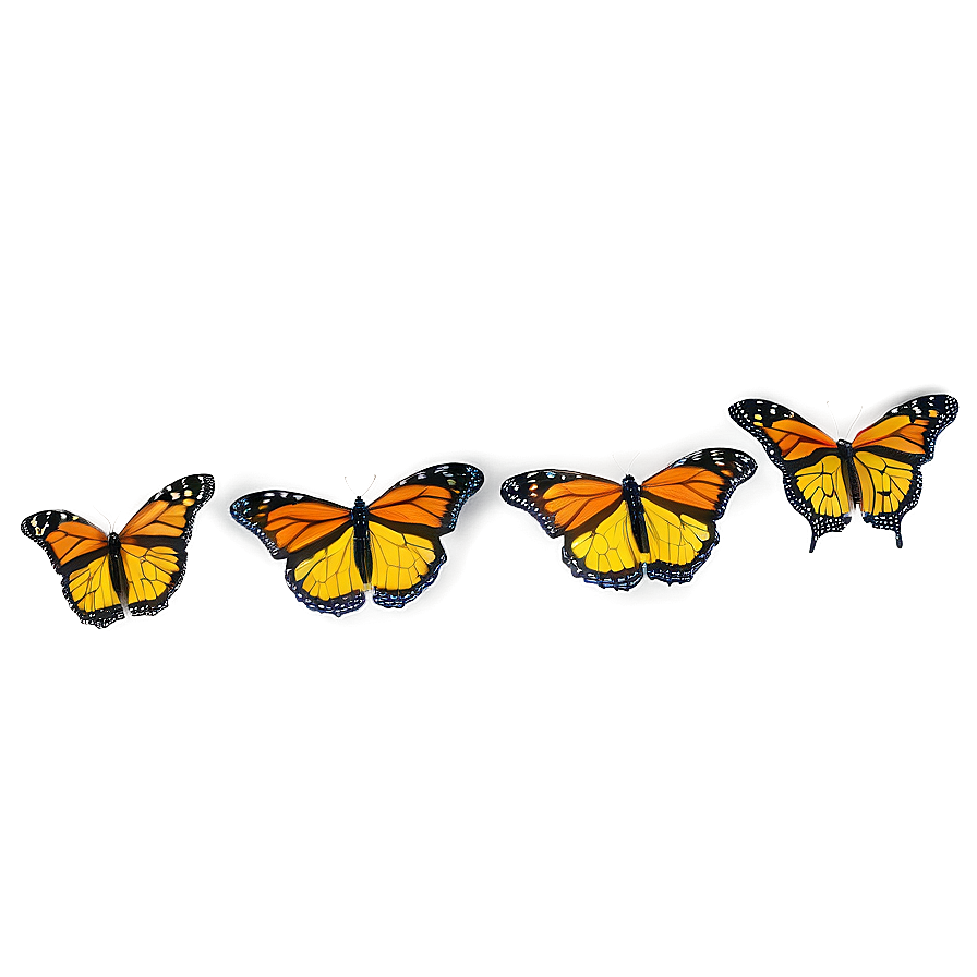 Flying Monarch Butterflies Png 06252024 PNG Image