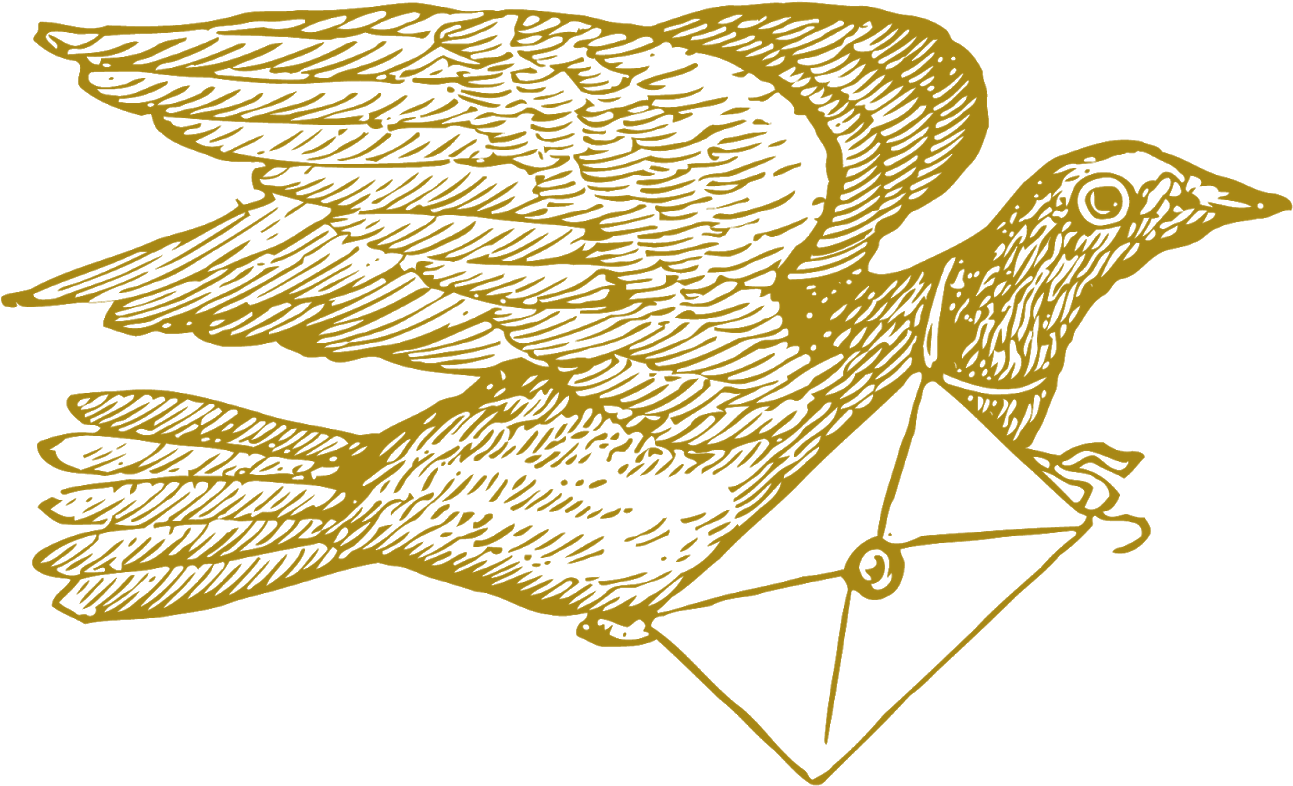 Flying Pigeon Yellow Outline PNG Image