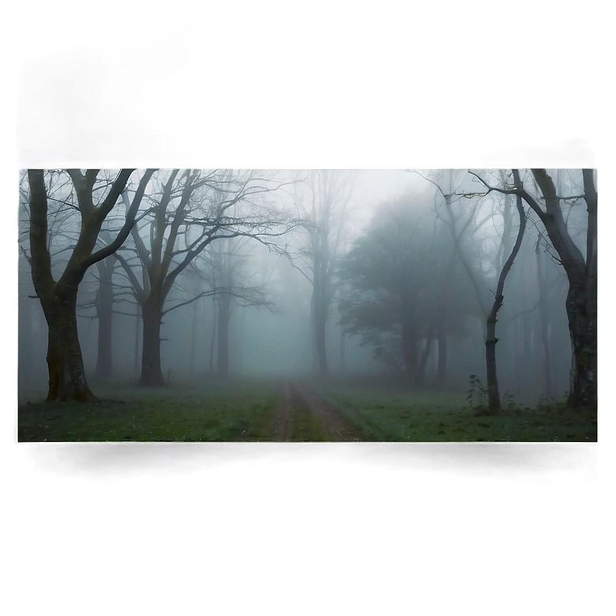 Fog Texture Transparent Png 05262024 PNG Image