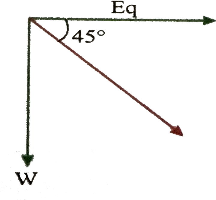 Force_ Vector_ Diagram_at_45_ Degrees PNG Image