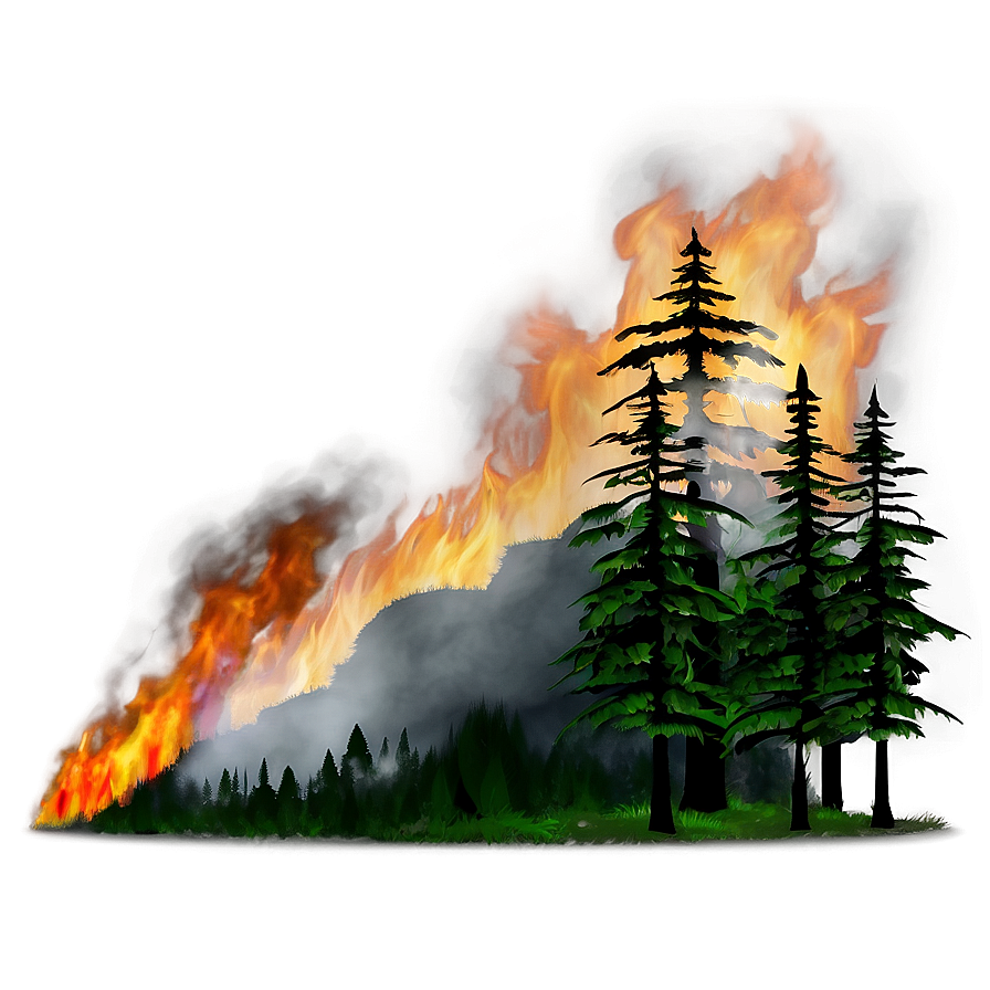 Forest Fire Night Png Vxq82 PNG Image