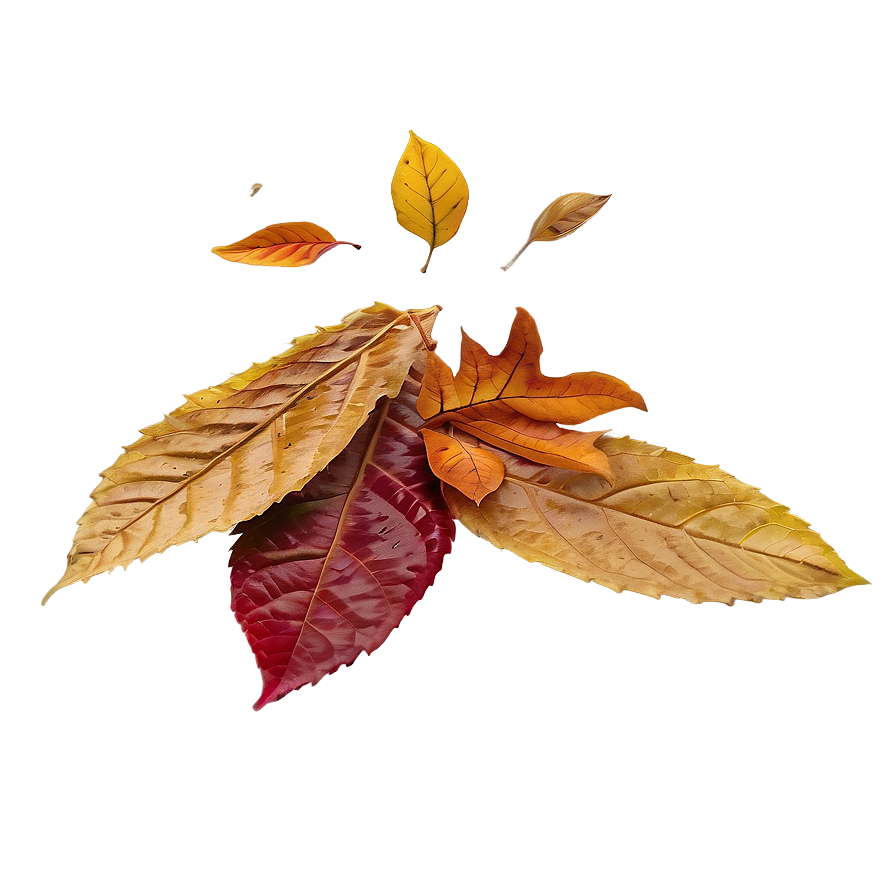 Forest Leaves Falling Png Lok PNG Image