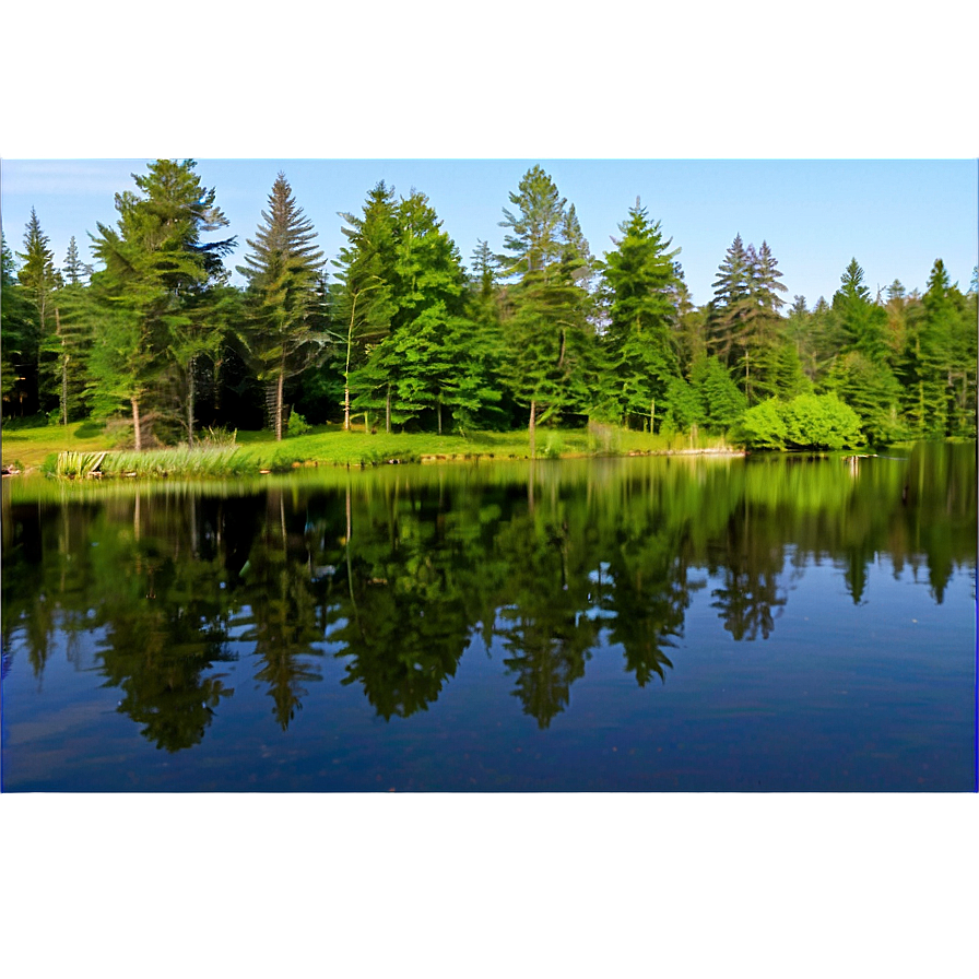 Forest Pond View Png Eom64 PNG Image