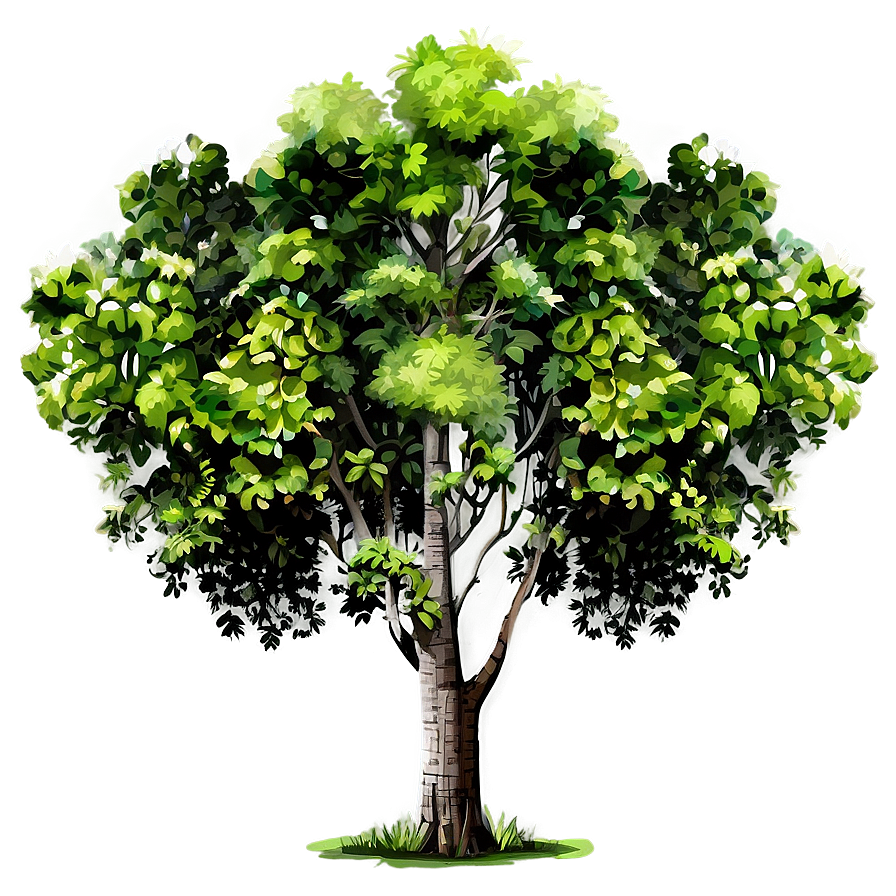 Forest Tree Elevation Png Bye PNG Image