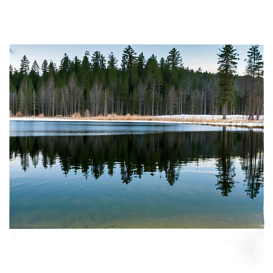 Forest Trees Reflection Lake Png 58 PNG Image