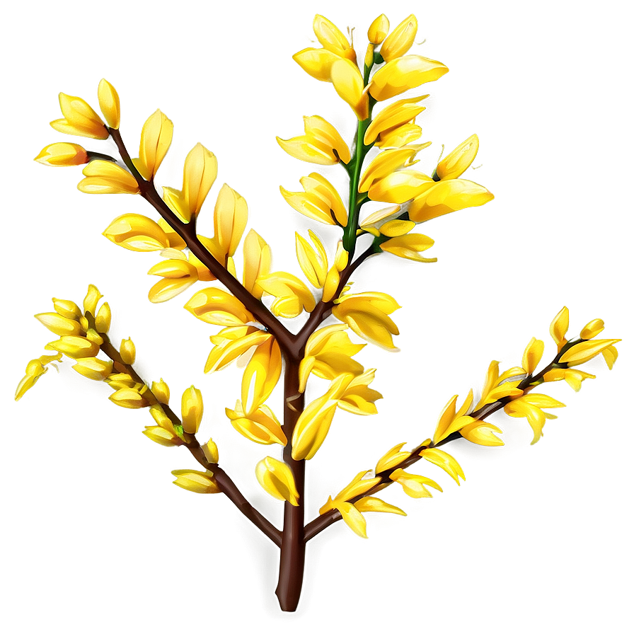 Forsythia Flower Bush Png Nnh PNG Image