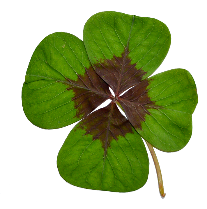 Four Leaf Clover Green Background PNG Image