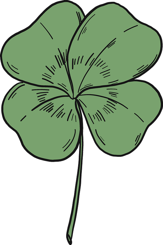 Four Leaf Clover Illustration.png PNG Image