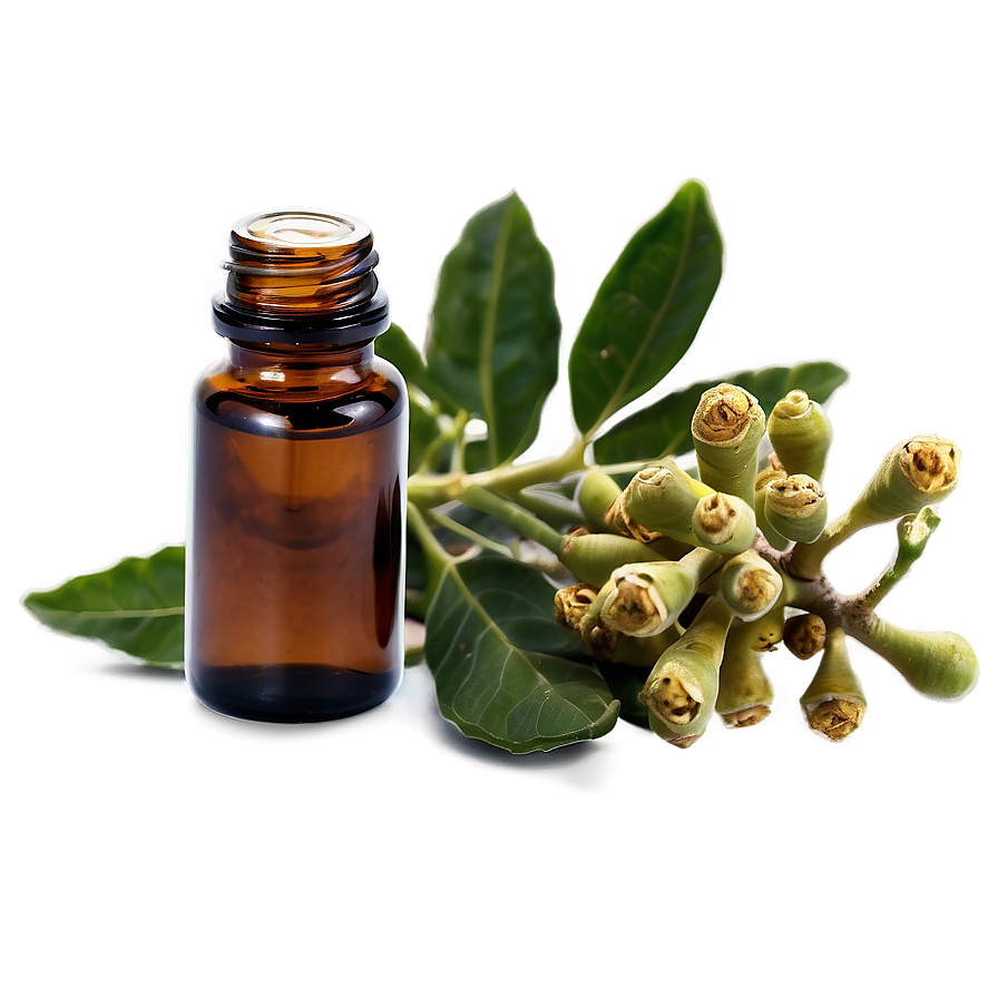 Frankincense Essential Oil Png Beq PNG Image