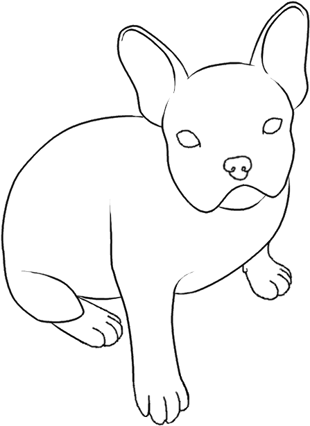 French Bulldog Line Drawing PNG Image