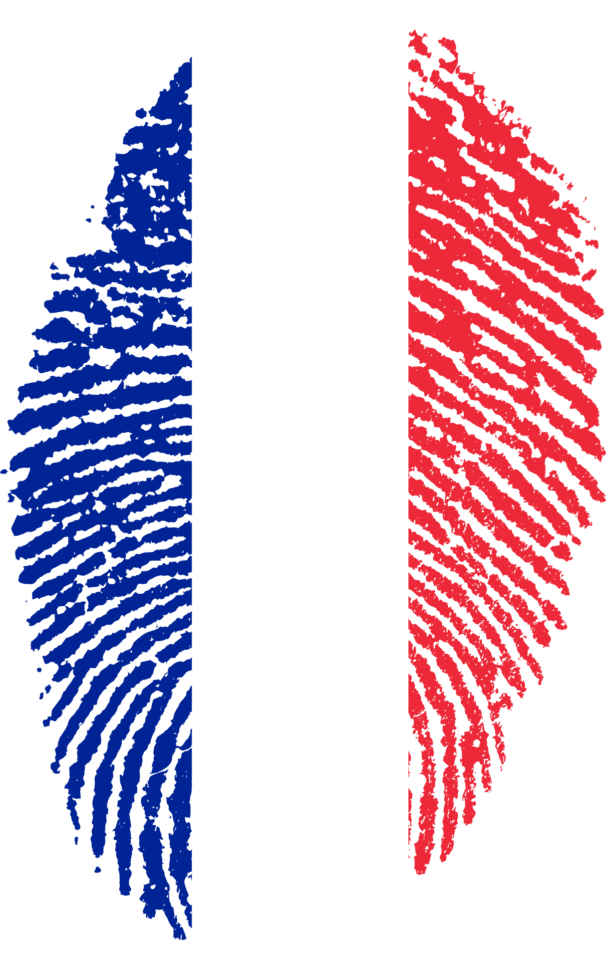 French Tricolor Fingerprint Art PNG Image