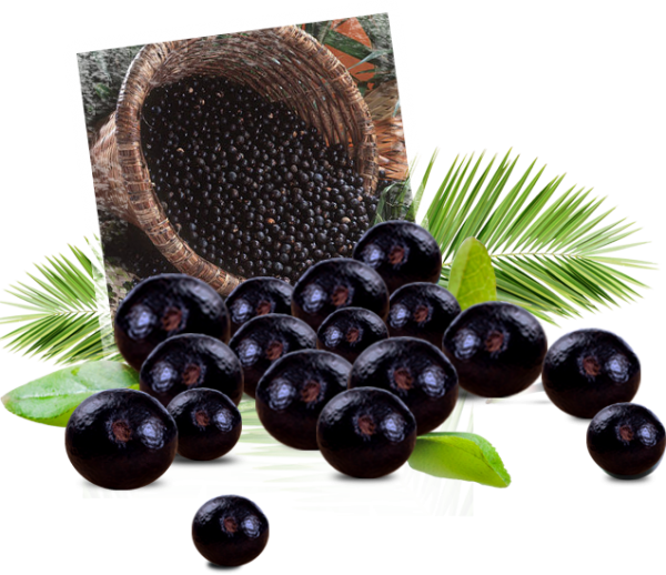 Fresh Acai Berries Display PNG Image