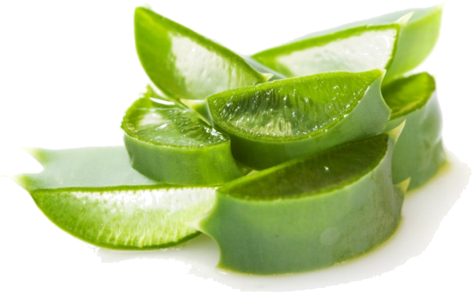 Fresh Aloe Vera Slices Transparent Background PNG Image