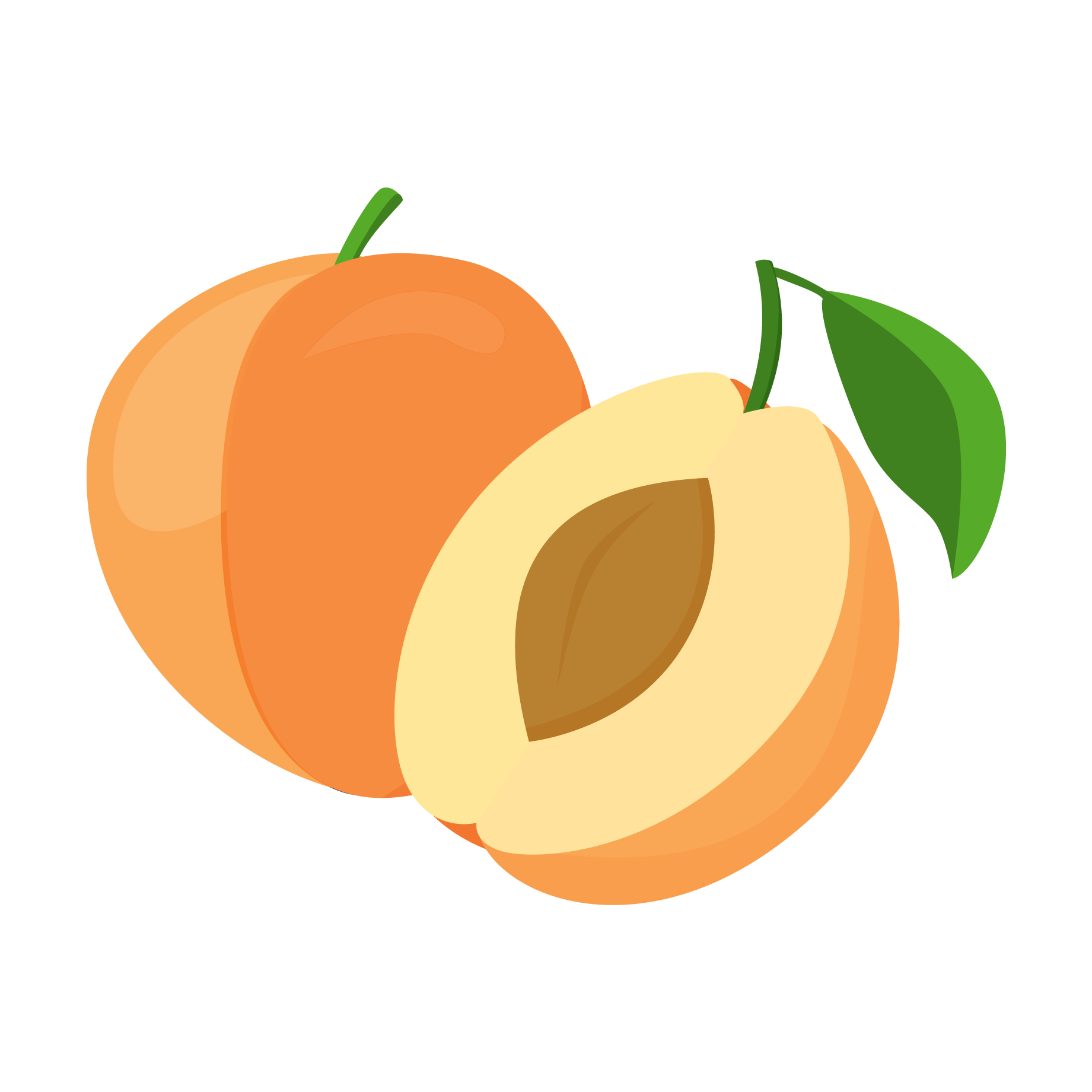 Fresh Apricotand Half Cut Vector PNG Image